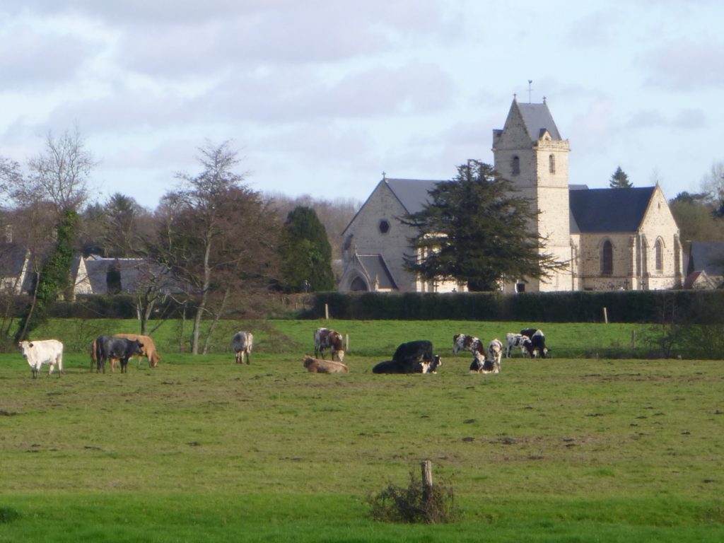Négreville- Vue de l'église et de l'élevage