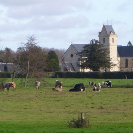 Négreville- Vue de l'église et de l'élevage